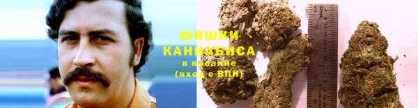 гидра Бугульма
