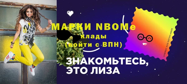 дживик Верхний Тагил