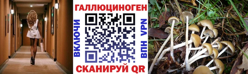 Псилоцибиновые грибы GOLDEN TEACHER  Лобня 